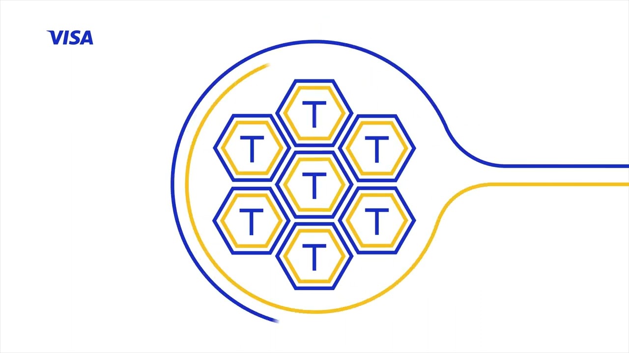 Visa Network Tokens
