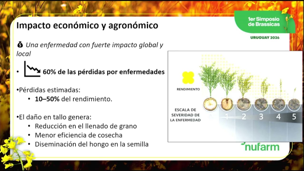 1er Simposio Nacional de Brassicas, Franco Rossi