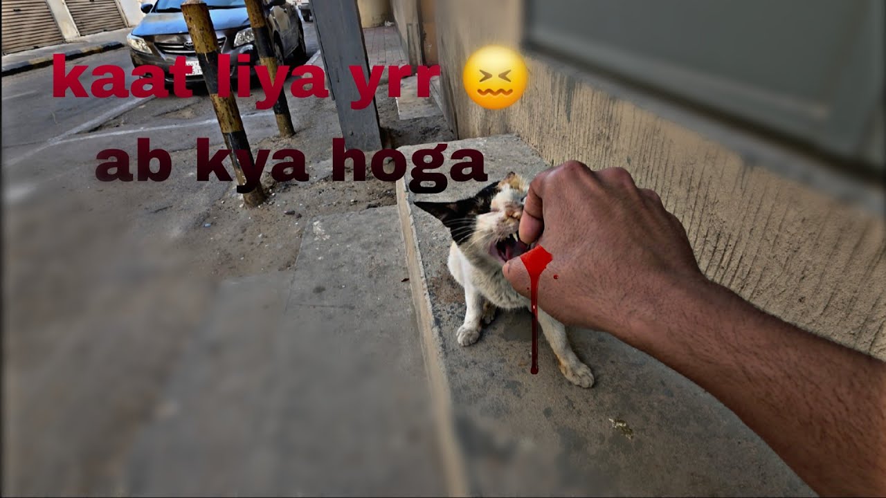My new vlog guys mujhe aaj to mera hath gya kaat hi leti ye to 😅😅
