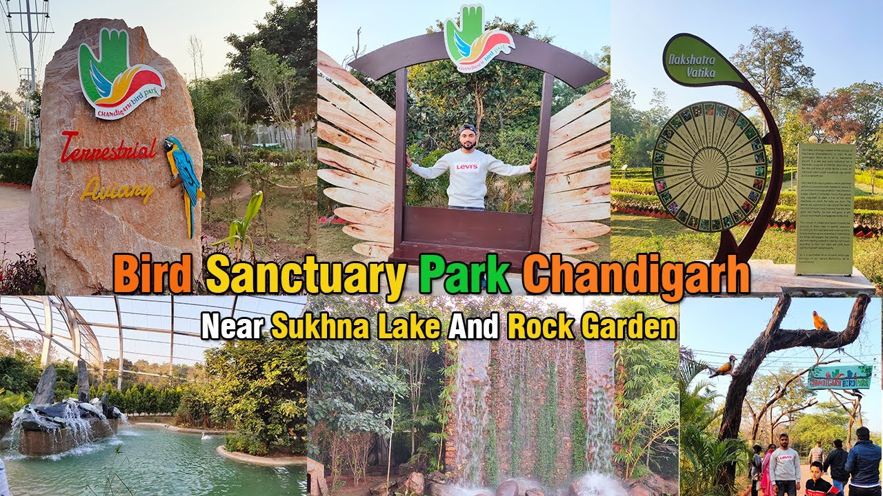 Bird Sanctuary Park Chandigarh | Near Shukna Lake & Rock Garden #birdpark #birdsanctuarychandigarh