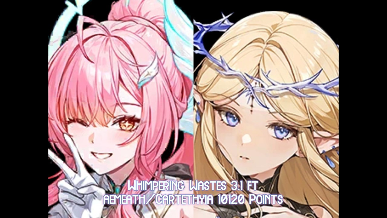 Skill Issue Player tries 3.1 Whimpering Wastes ft Cartethyia/Aemeath [10190 points]