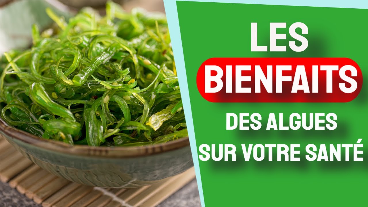 Les bienfaits des algues