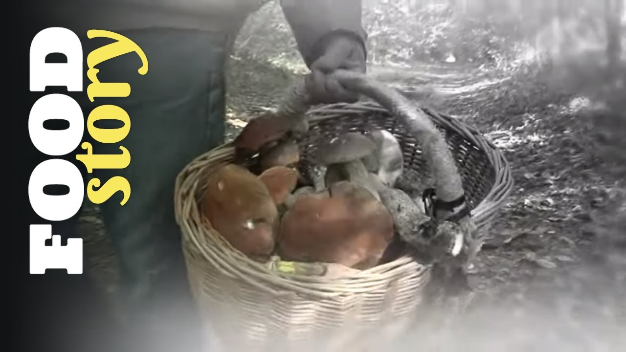 Champignons, les astuces pour se r&eacute;galer sans d&eacute;penser