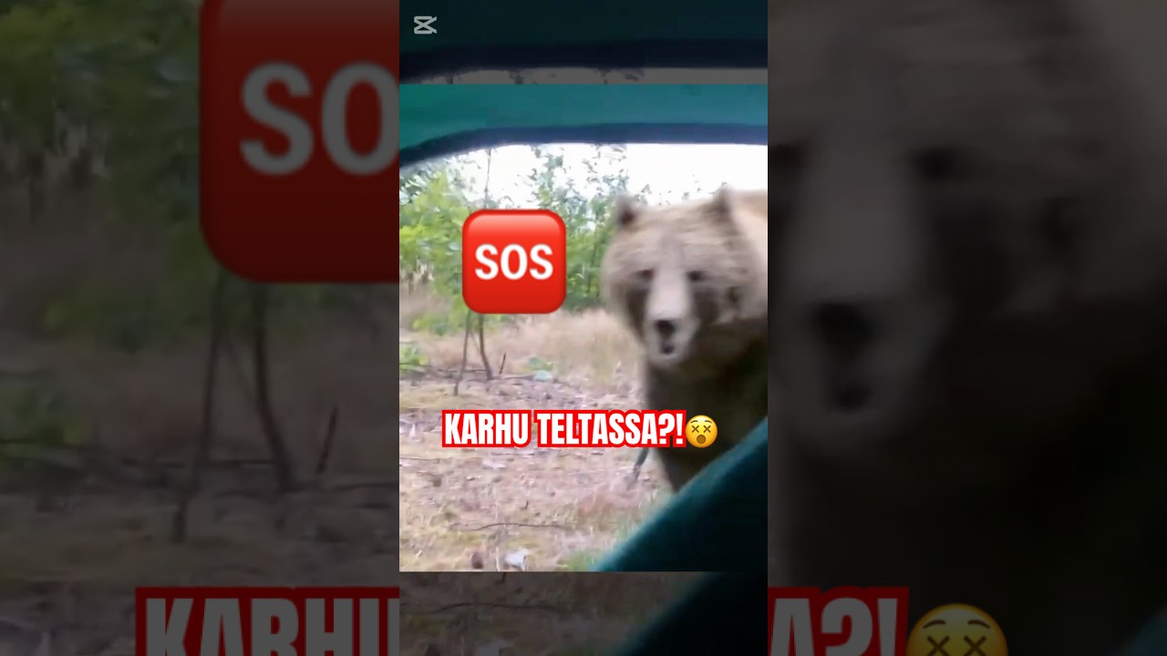 Pelottava tilanne!🫨 TILAA KANAVA 