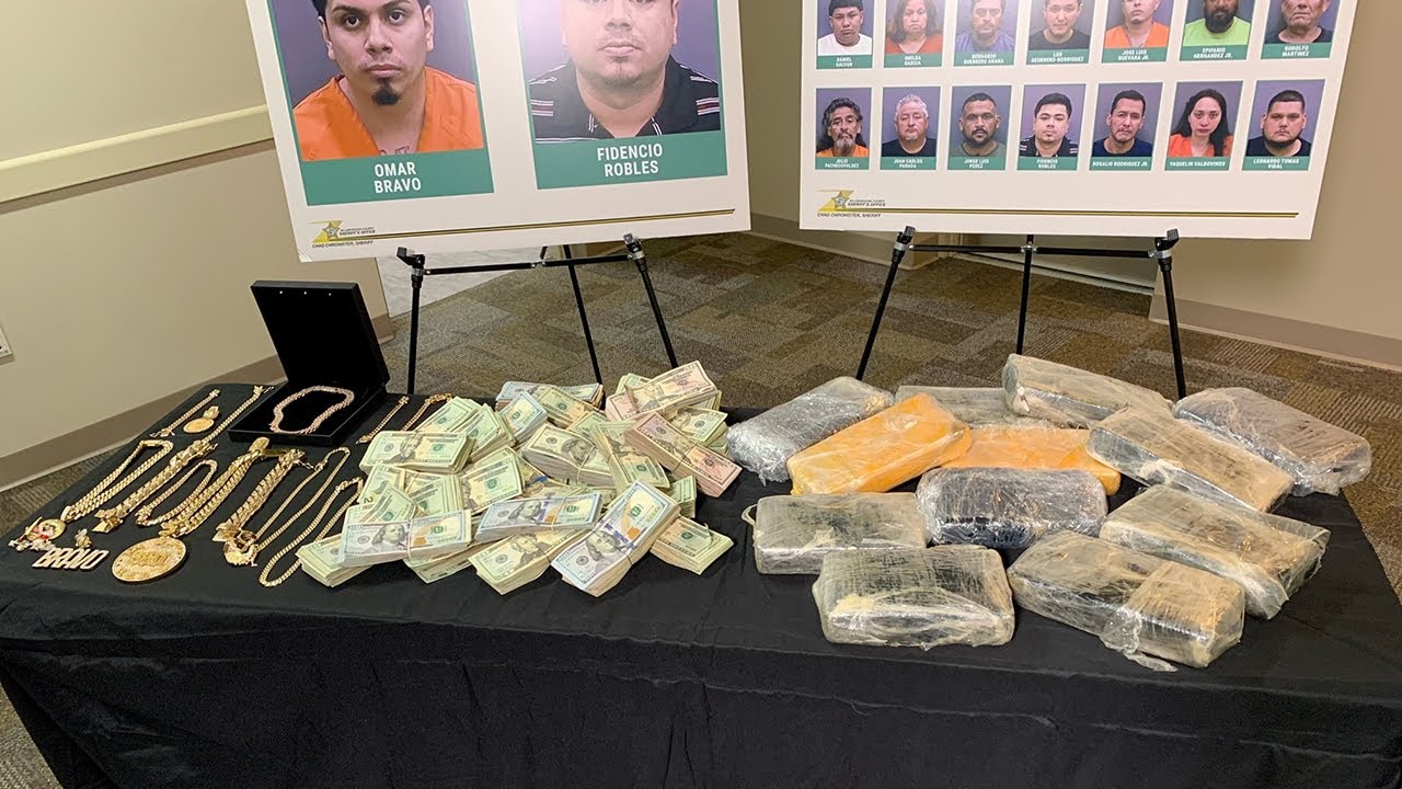 Gang operation targeted in Hillsborough County