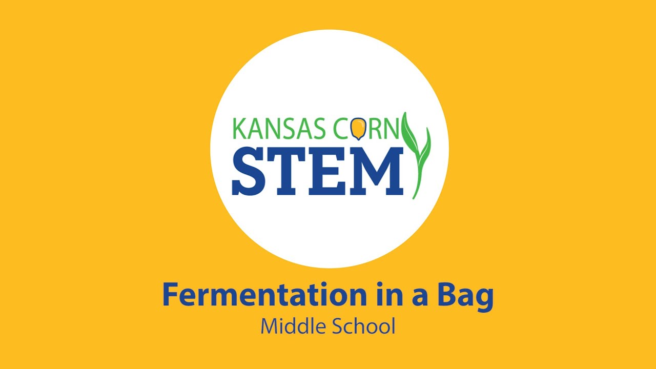 Fermentation in a Bag, Seed to STEM Middle School workshop, led by Brian Nelson