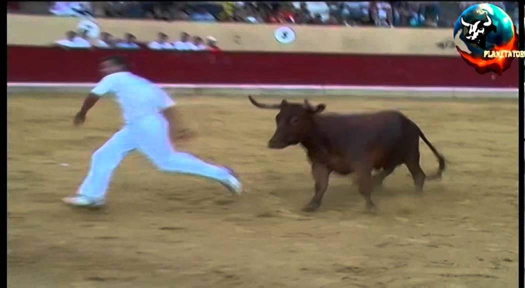 2005 06 12 ALAGON CONCURSO DE ANILLAS