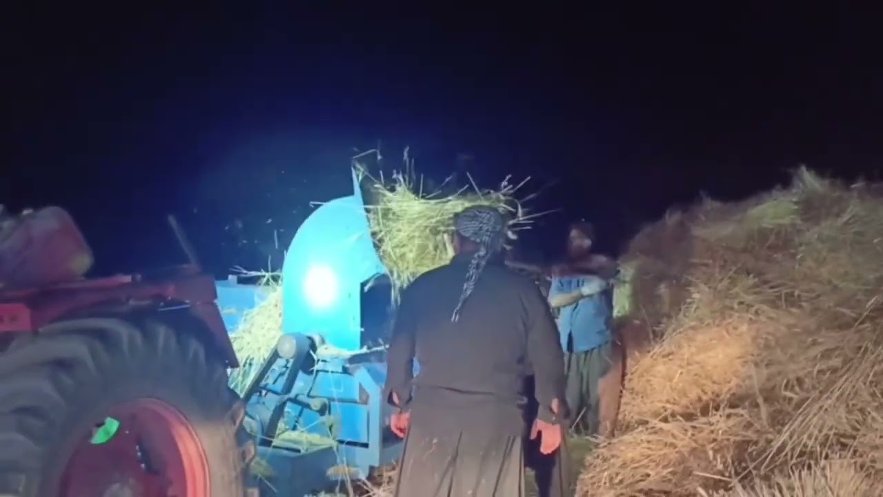 هەباشە و کوتانی دانەوێڵە