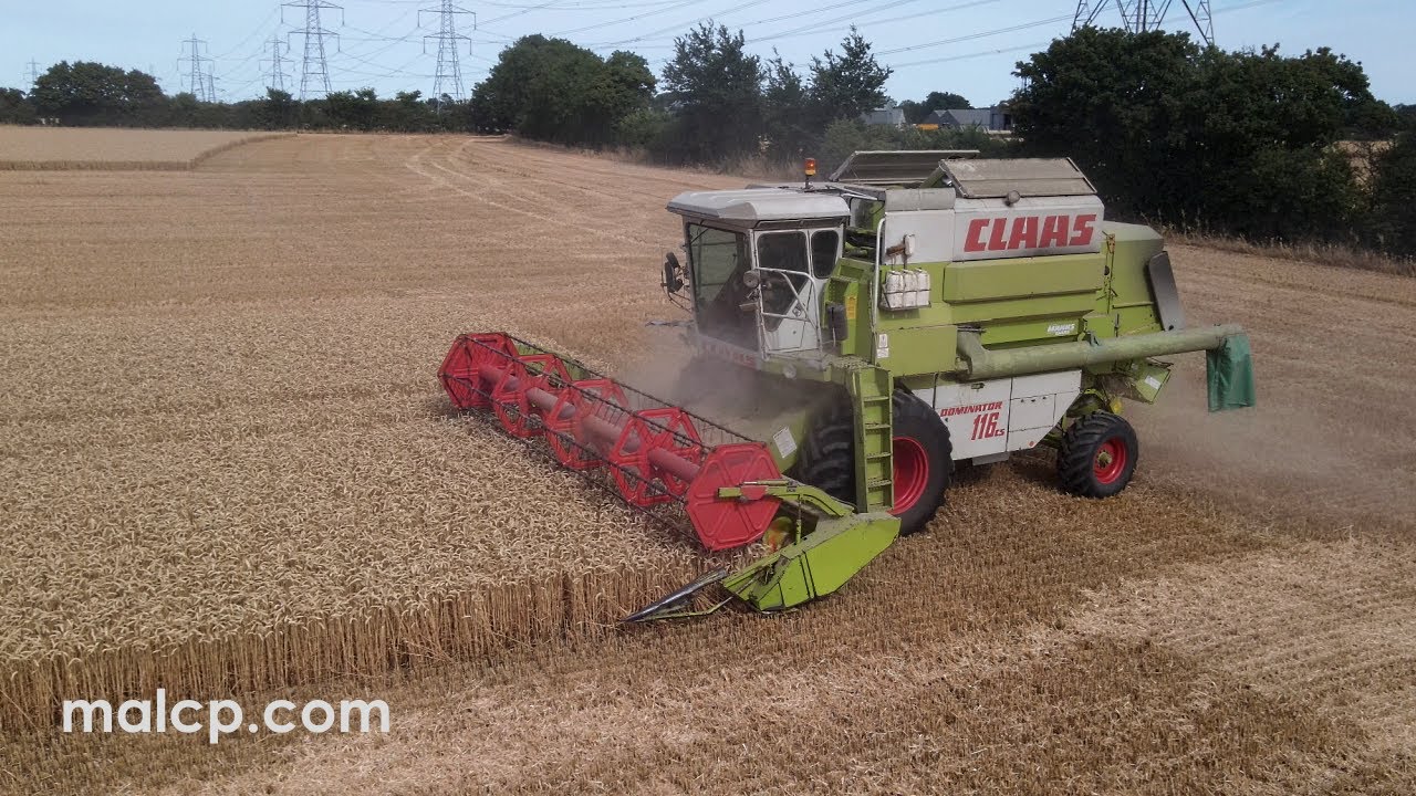 Harvest 2022: Claas Dominator 116CS cutting wheat in Suffolk