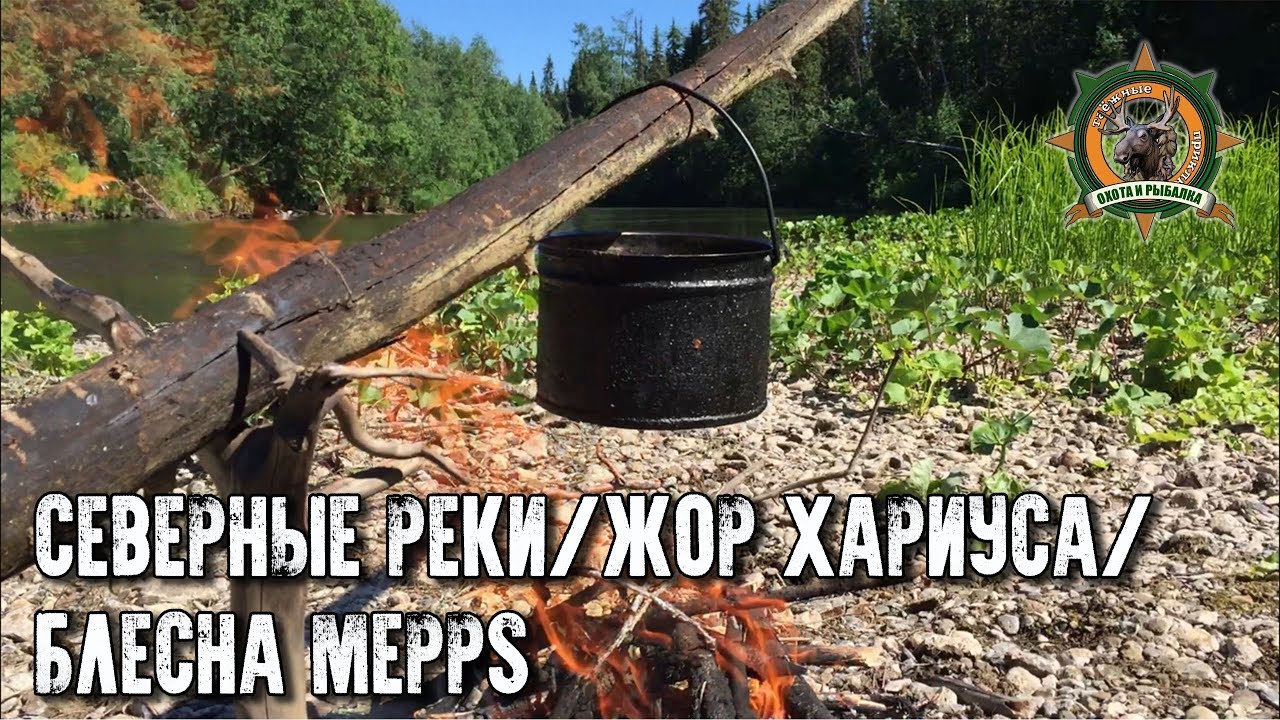 Попали на жор хариуса/Блесна Меппс/Таёжные приключения