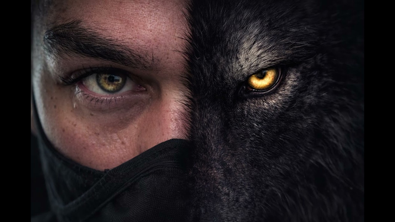 The Lone Wolf