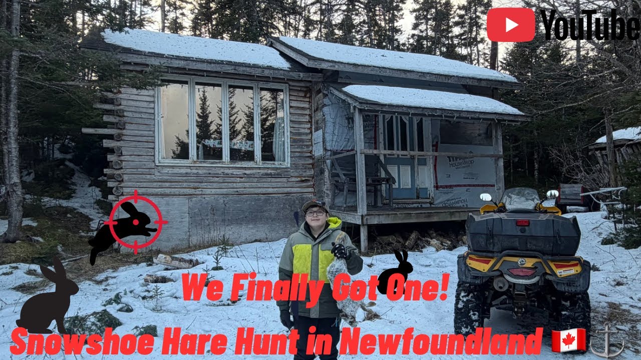 A Hunt for Snowshoe Hares 