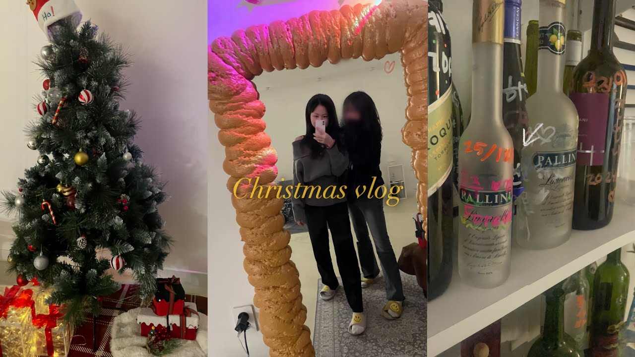 [vlog] 나의 크리스마스는 ?! 🎄🎅🏼 / 강아지를 키우다 / 중2