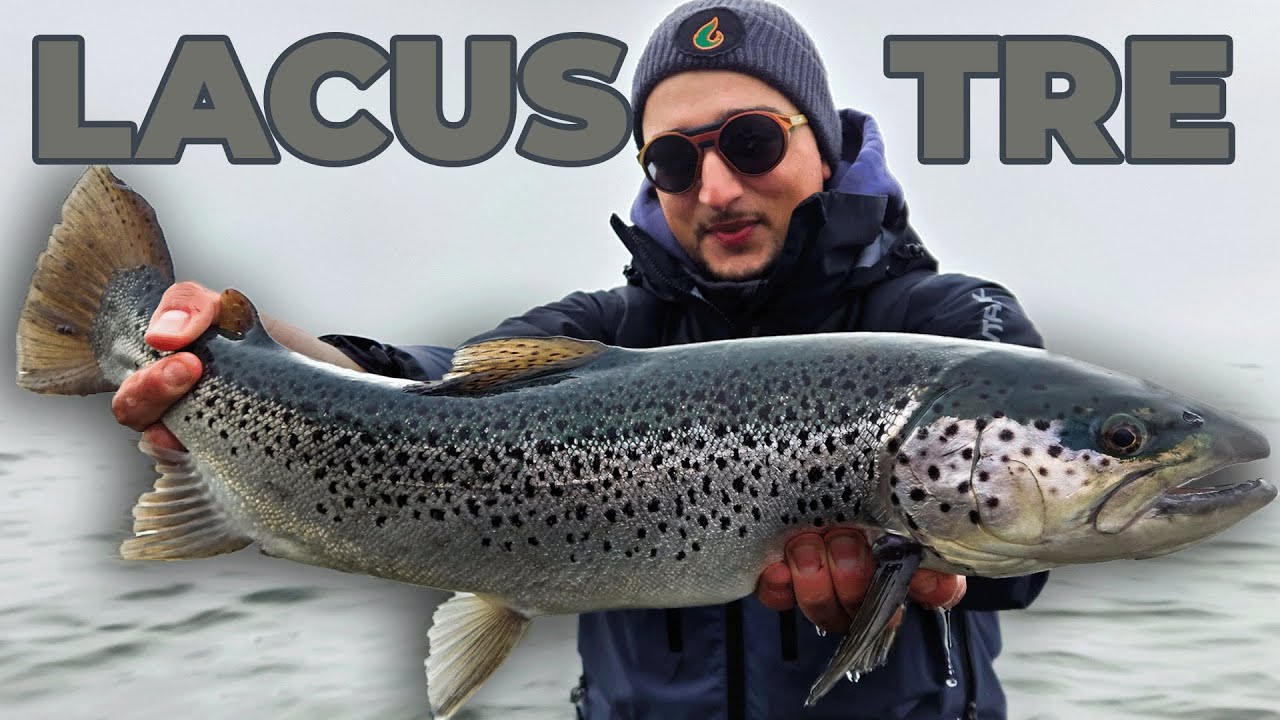 Truite lacustre : TRAQUE des plus GROSSES truites !