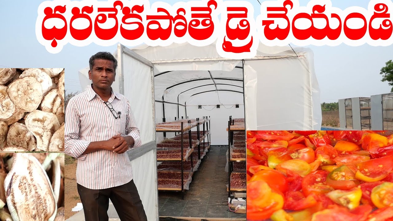 Solar Drying of vegetables |99660 96960| ధరలేకపోతే డ్రై చేద్దాం|Solar Dryer