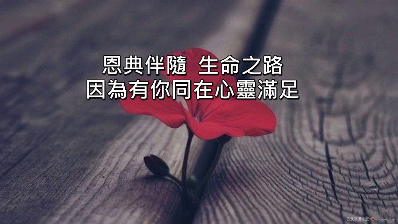 歸回 (超好聽)