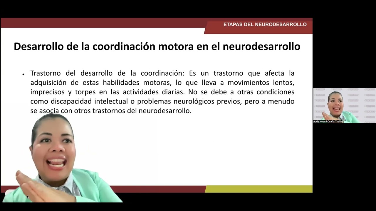 Etapas del Neurodesarrollo 2.1