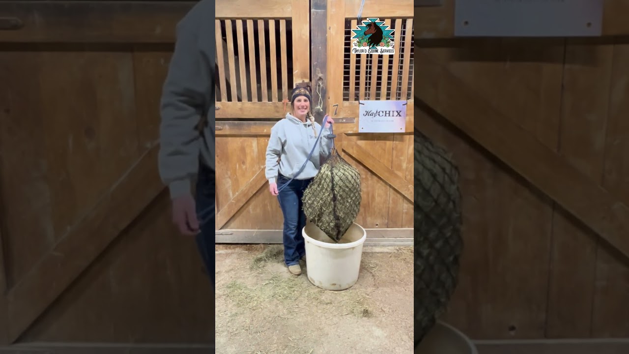 Tips for Filling a Hay Chix Net