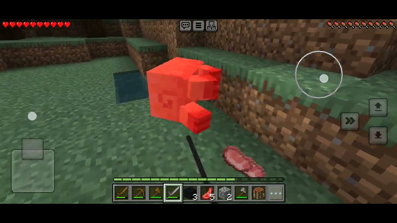 ١١ يناير ٢٠٢٦