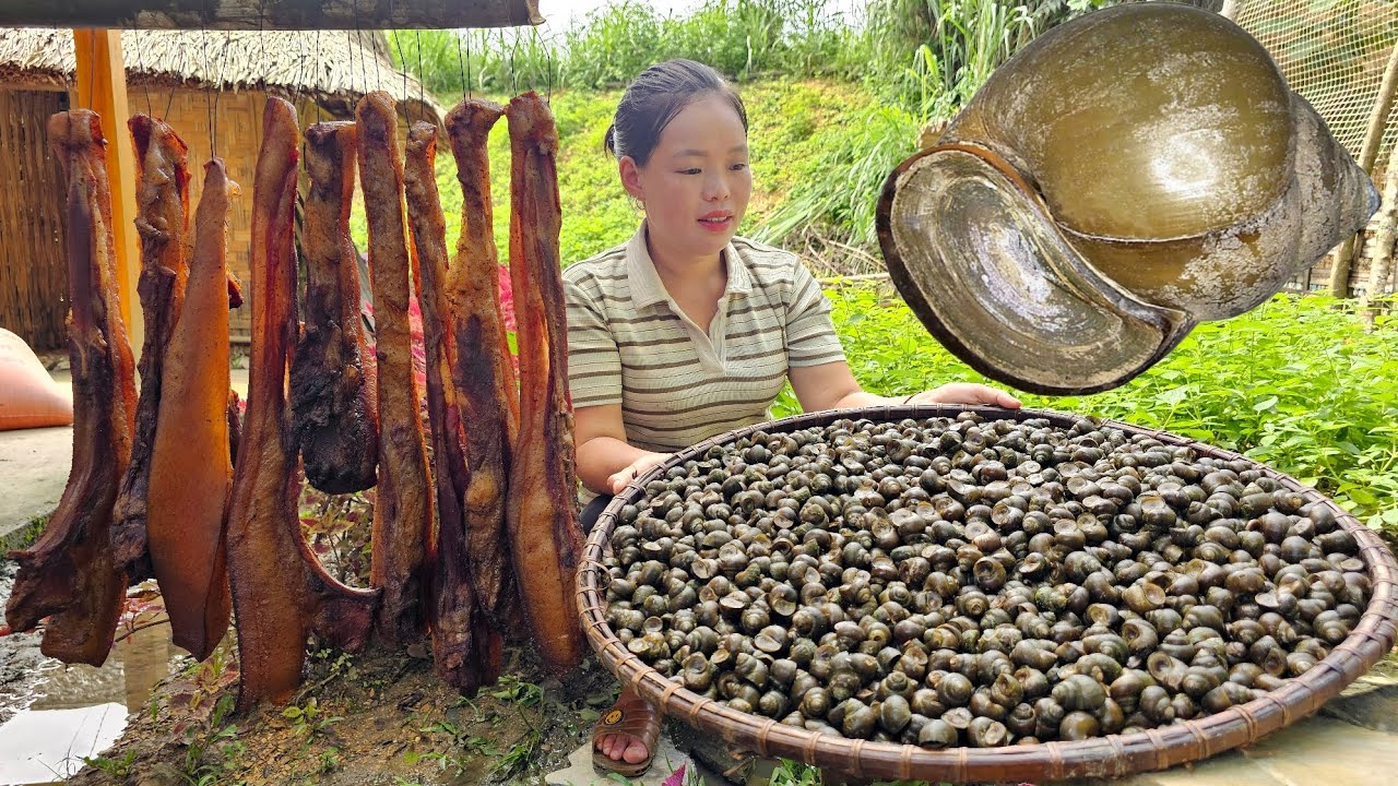 "Harvesting Snails and Smoked Pork to Sell at the Market | Trieu mai Huong".