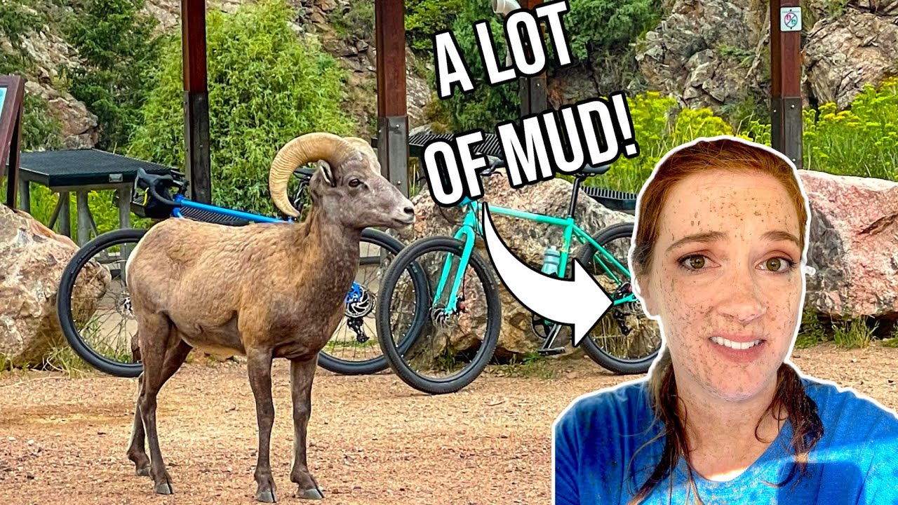 The most INSANE bike ride! | Wildlife, Mud, and Hail | Colorado Trail