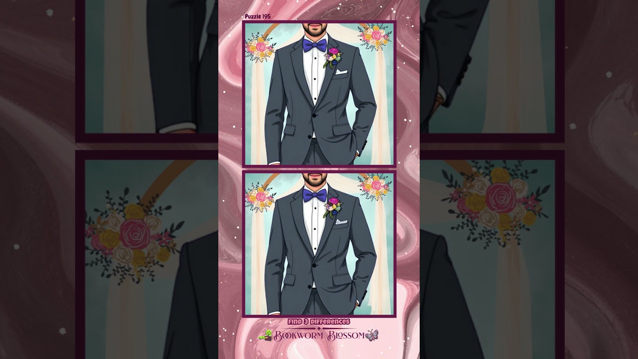 Spot the Difference Puzzle Challenge | Wedding Day l Find the Difference   