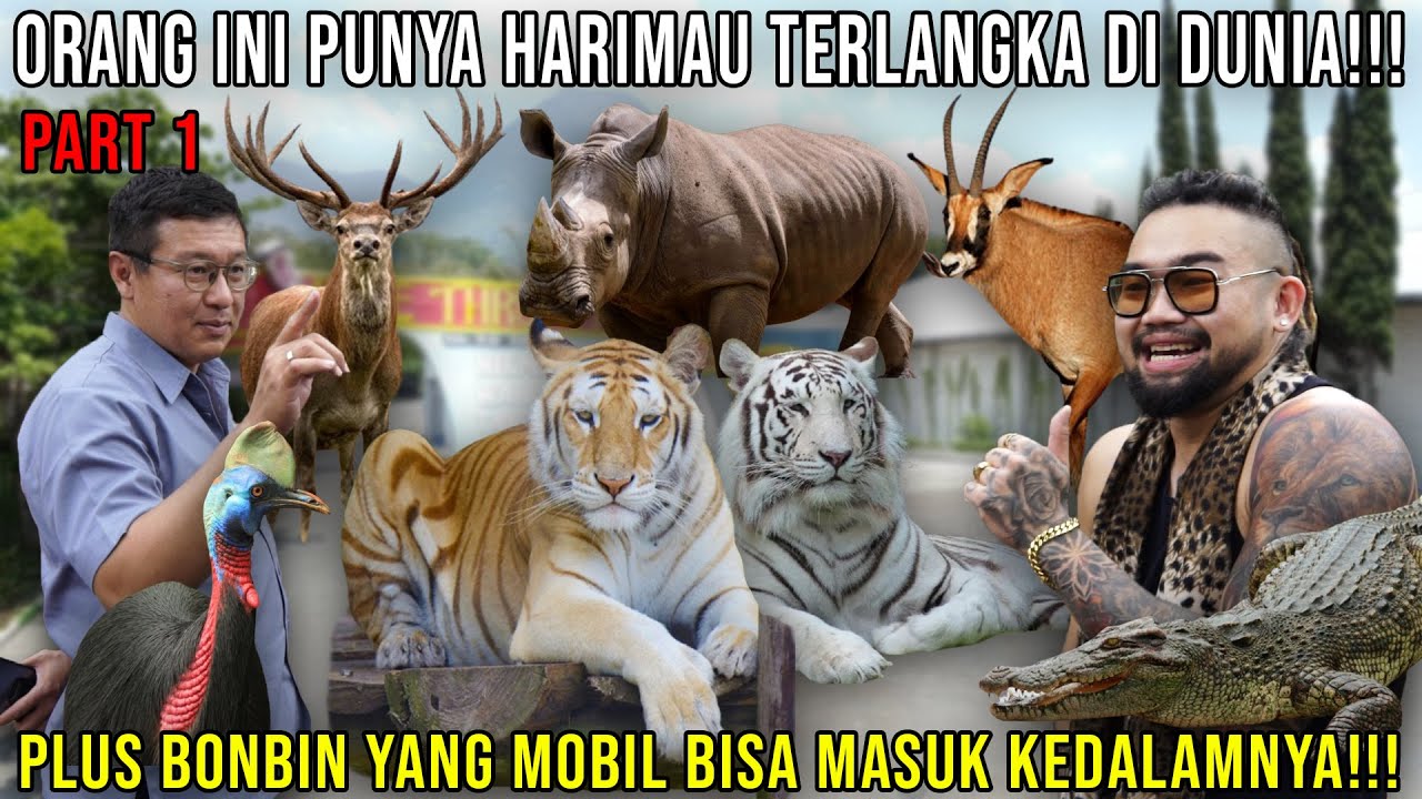 ORANG INI PUNYA HARIMAU TERLANGKA DI DUNIA!!! PLUS BONBIN YANG MOBIL BISA MASUK KEDALAMNYA!!