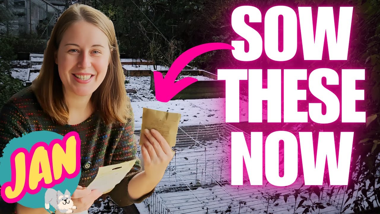 8 Seeds to Sow in January | UK Winter Garden & Allotment