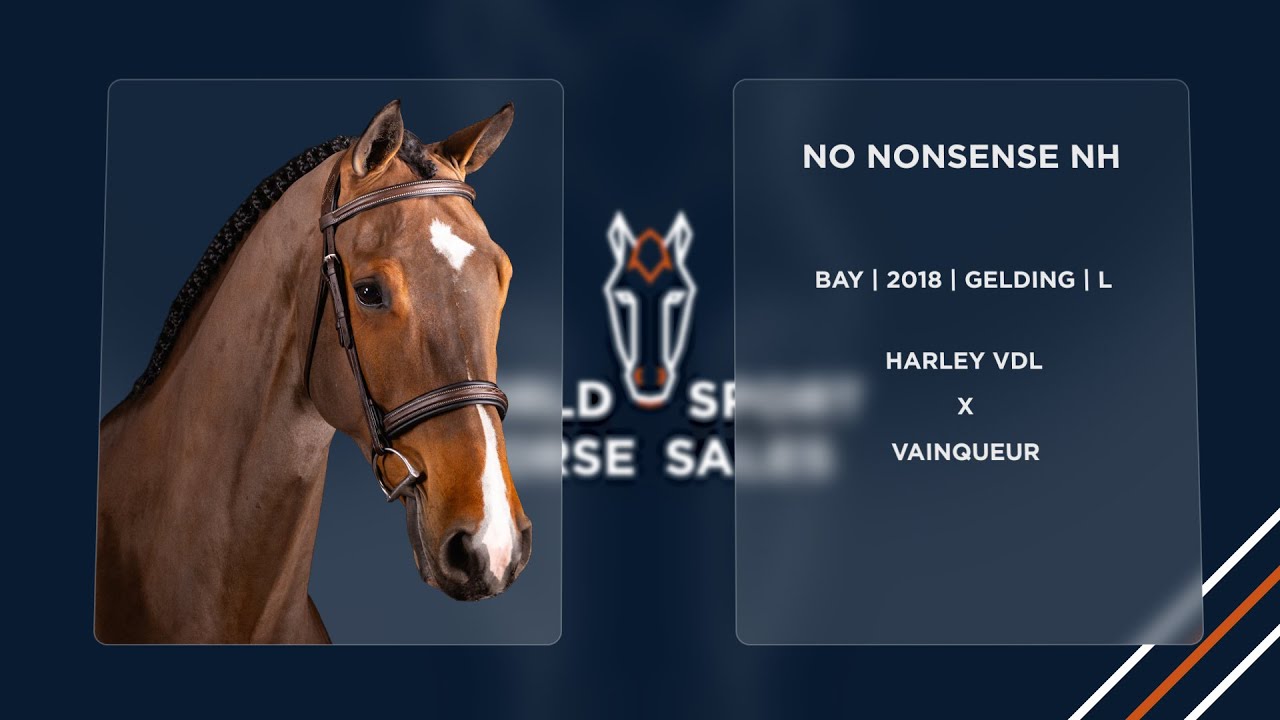 11. No Nonsense NH (Harley VDL x Vainqueur)