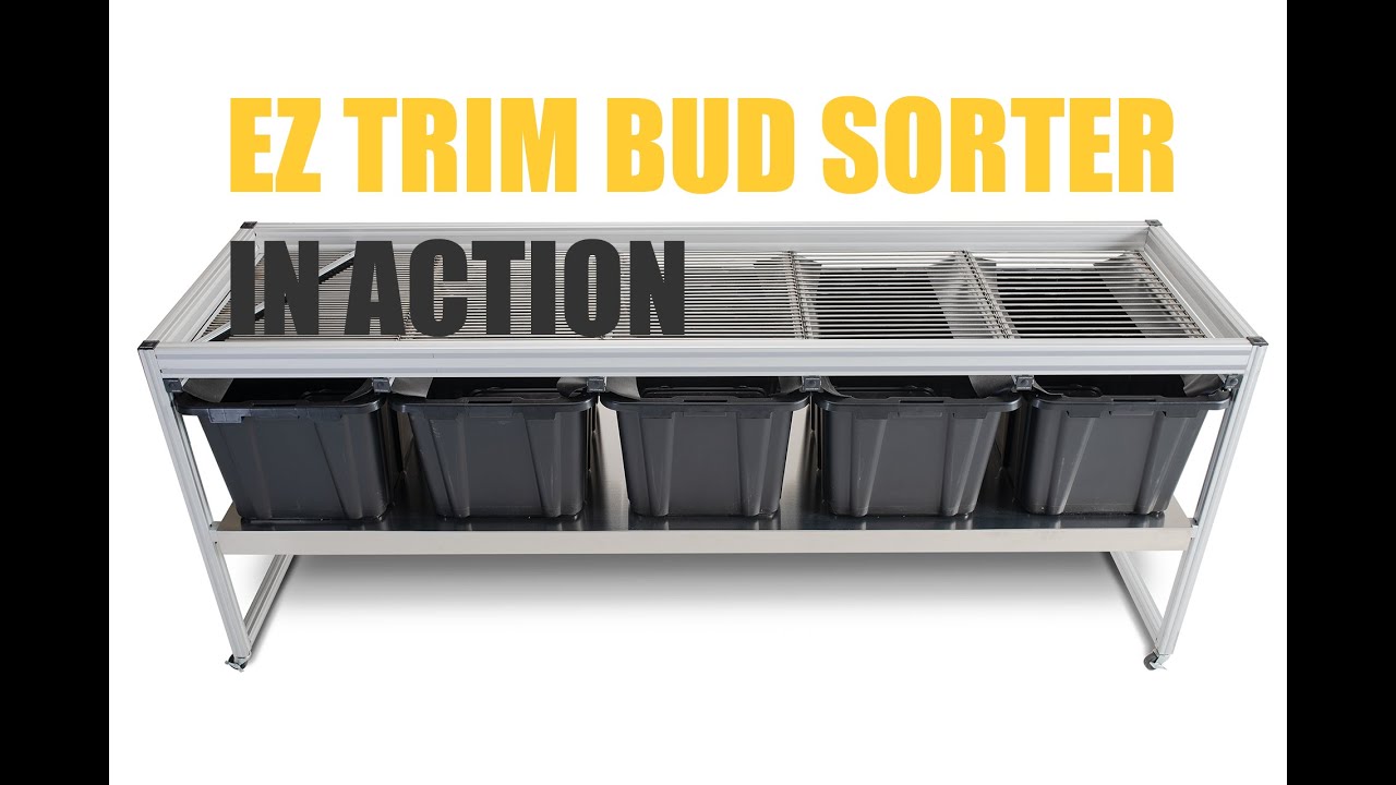 Using Eztrim's Bud Sorting Table in the Trim Room