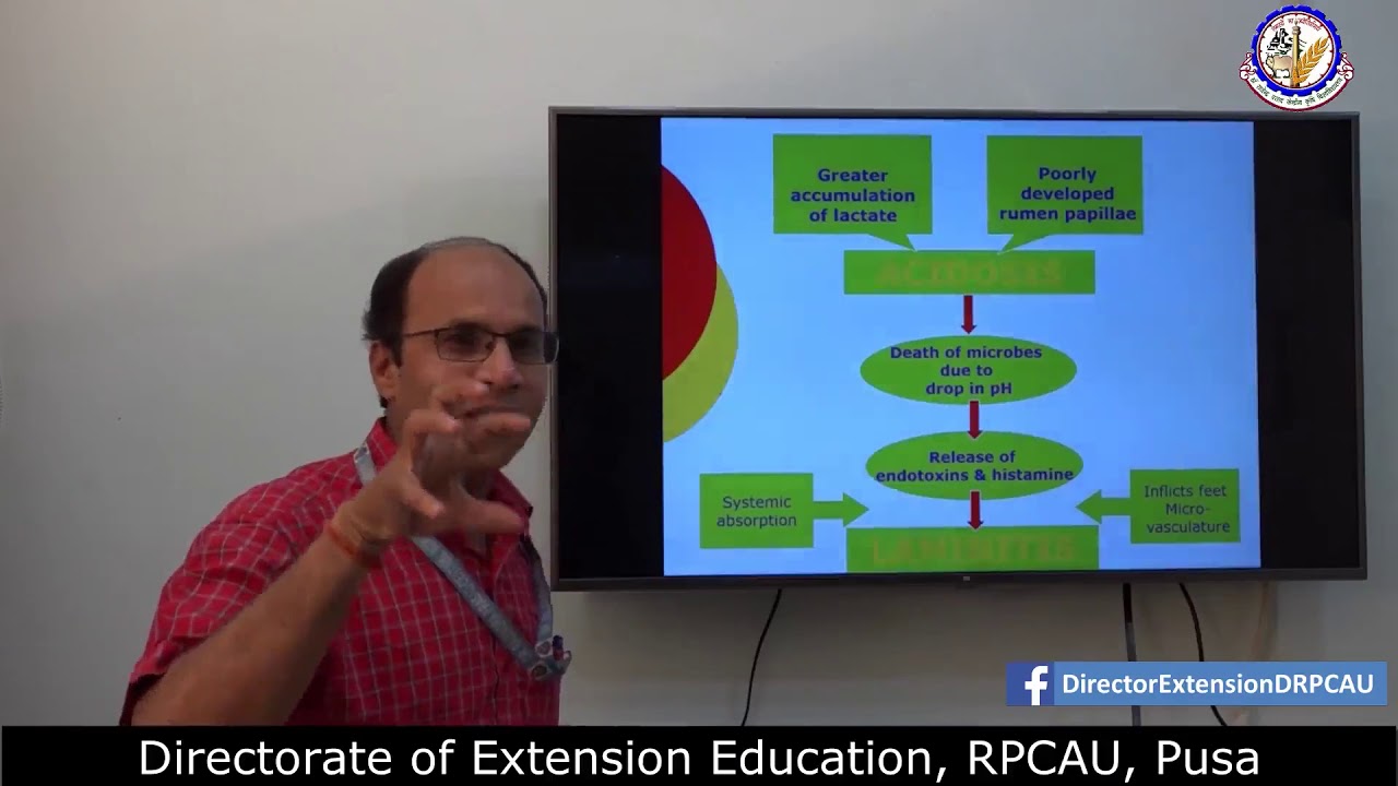Feeding management of periparturient or transitional cows by Dr  Ranjan Kumar