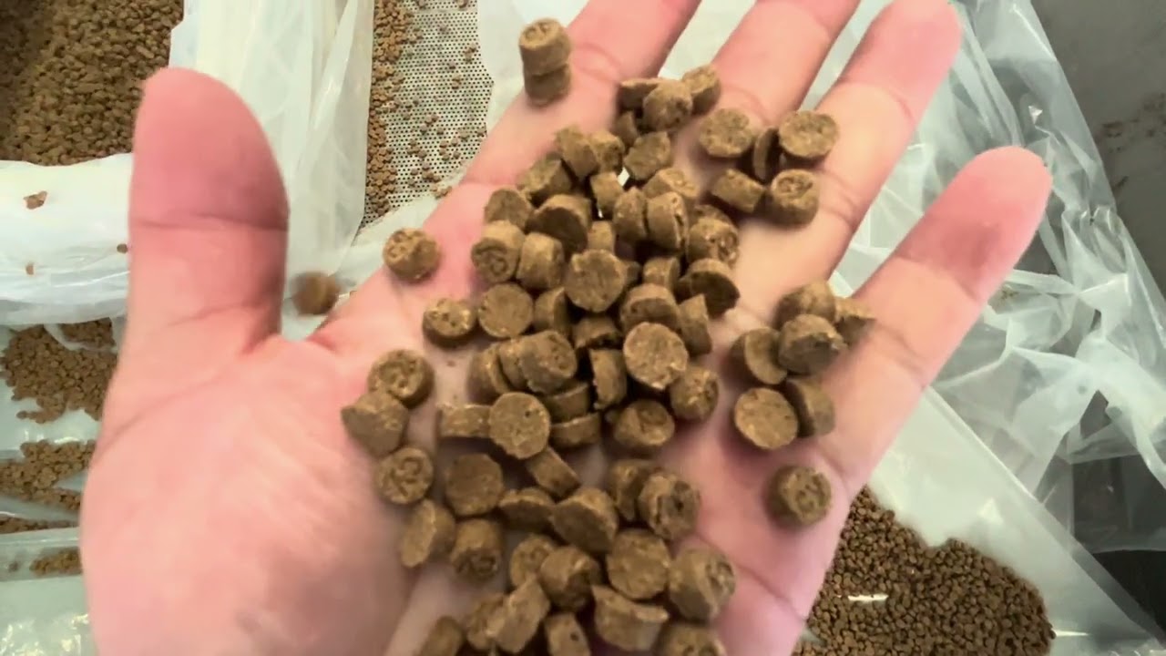 Low temperature baking dog food and cat food machinery and equipment