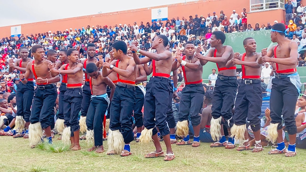 Mshovo | Akeniphule amalobolo ziyadula izinkomo | Amawele Ongoye | Hamba Mashabalala | Phusha