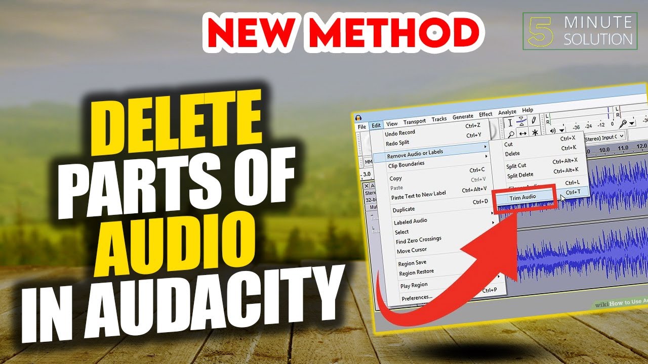 Как удалить части аудио в Audacity 2024