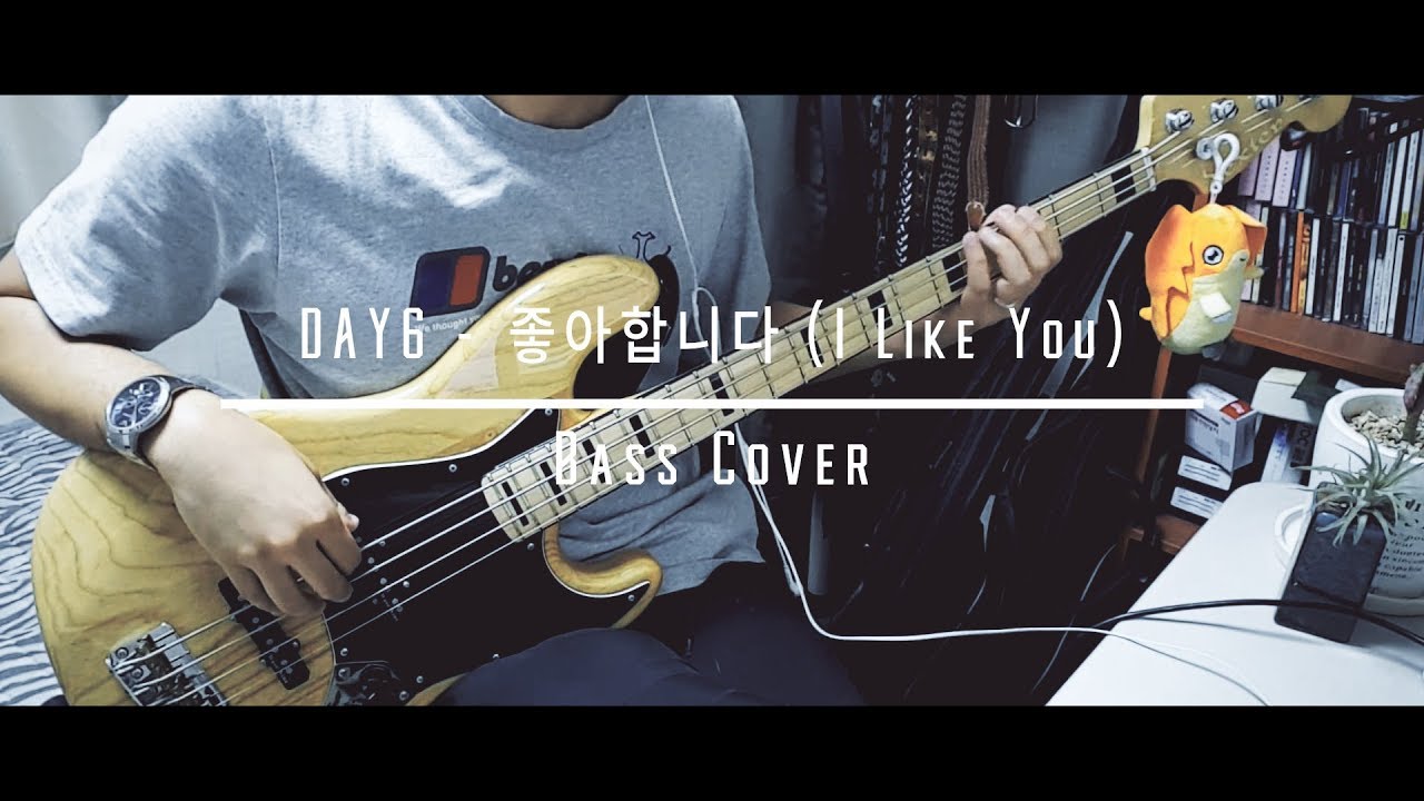 DAY6 - 좋아합니다 (I Like You) Bass Cover