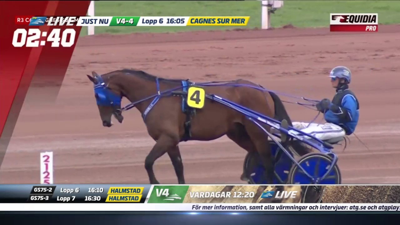 Criterium de Vitesse 2017, Timoko