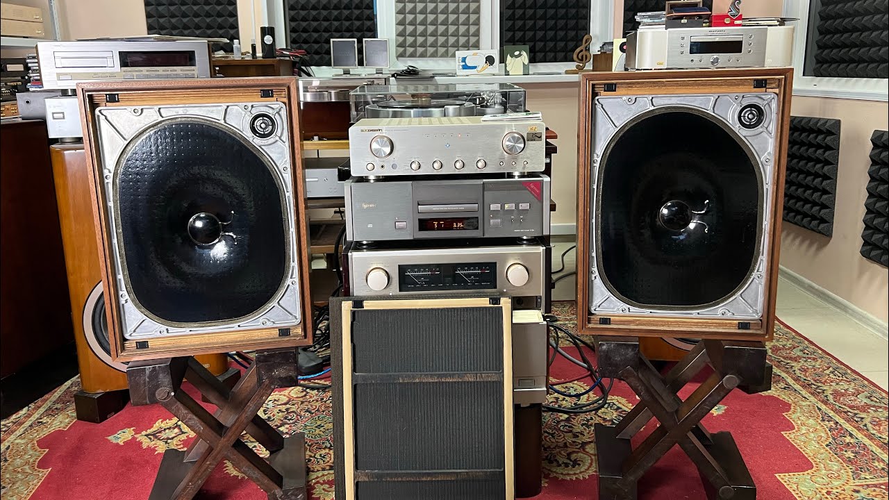 От слона уши Yamaha ns 250