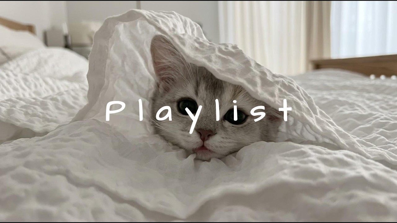 𝐏𝐥𝐚𝐲𝐥𝐢𝐬𝐭 릴스에서 스쳐 지나갔던 그 무드, 딱 너가 찾던 노래 🤍🎧 | chill r&b · study & relax