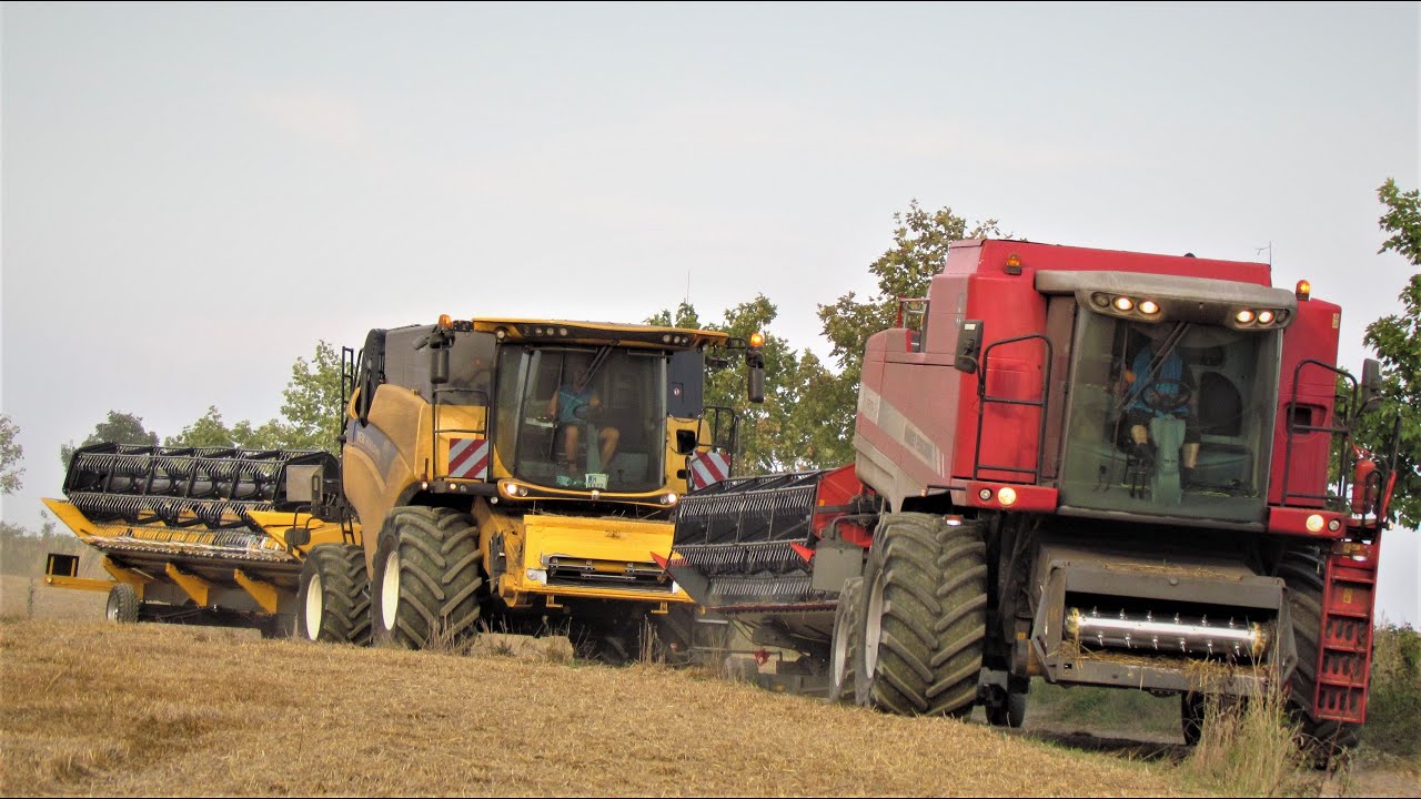 Žně 2019 - Massey Ferguson 7270 & New Holland CX8.85
