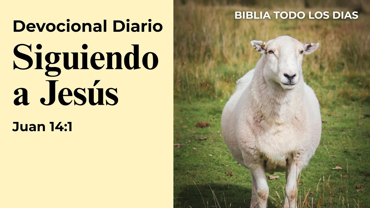 El seguir a Cristo: Cómo seguir a Jesús según la Biblia y tener Paz. Oración + Devocional Bíblico.
