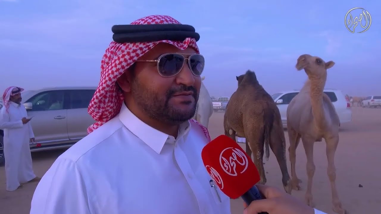 الرسالة السابعة من ‎مهرجان مزاد الإبل بحفر الباطن