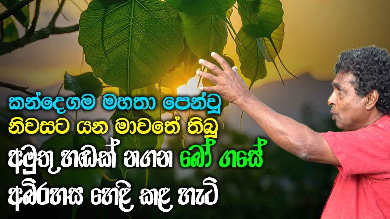 කන්දෙගම මහතා පෙන්වූ අරුම පුදුම බලයක් ඇති බෝ ගස