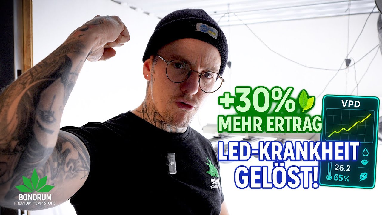 VPD & LED-Krankheit endlich verstanden! So bekommst du bis zu 30 % mehr Ertrag 🌿💡