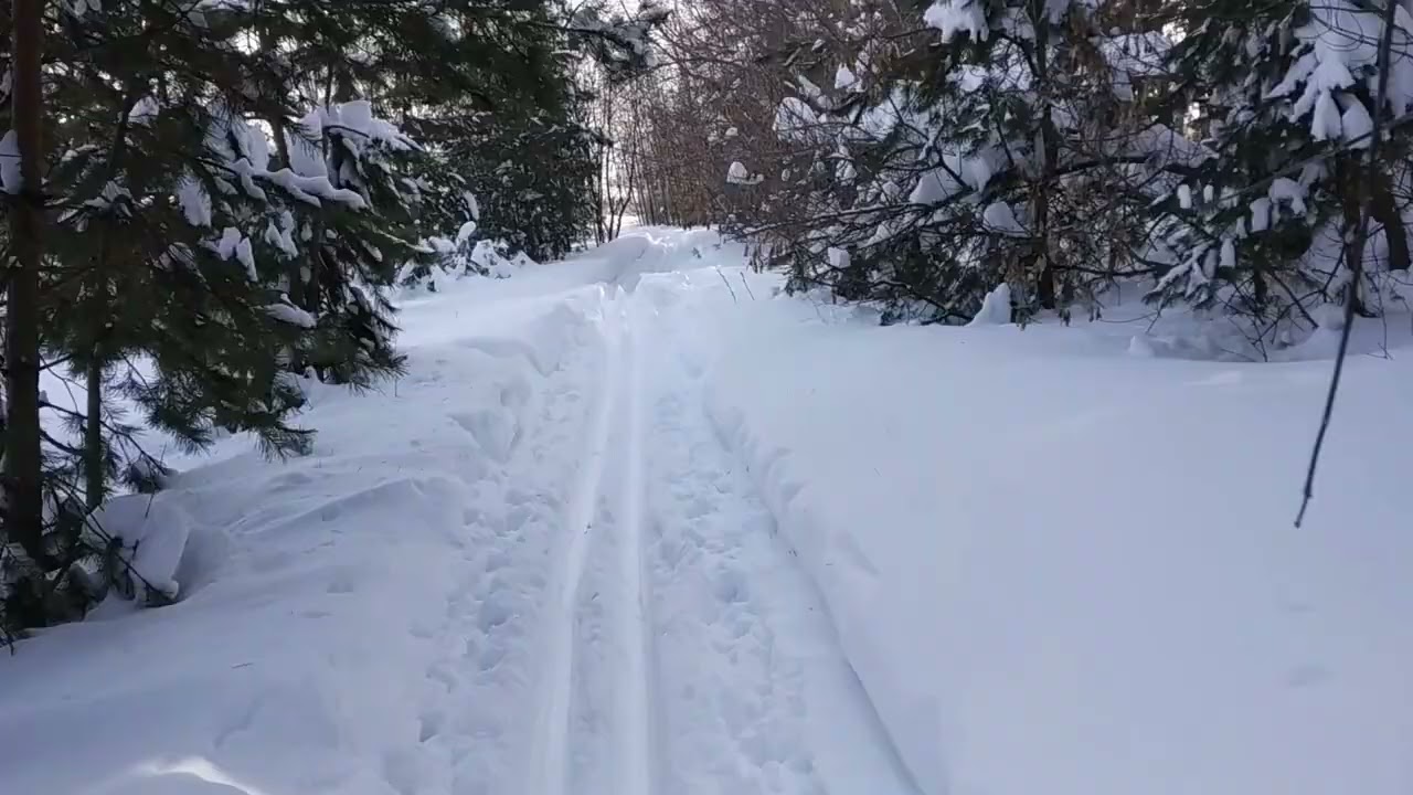Пятёрка на 10 февраля 2026 года.