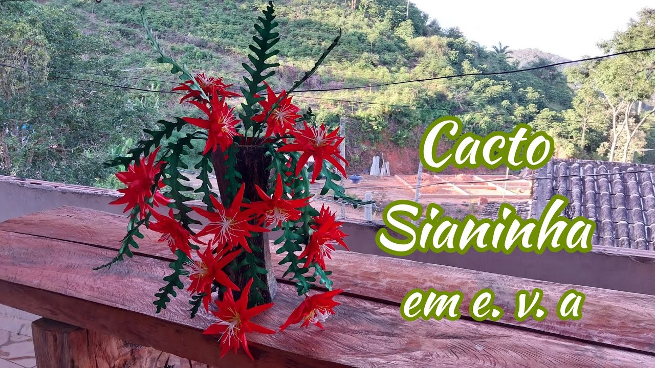 DIY Cacto sianinha ou cacto zig -zag em e. v. a🌵🌹