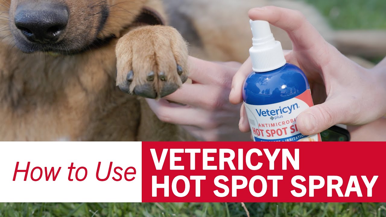 How to Use Vetericyn Antimicrobial Hot Spot Spray