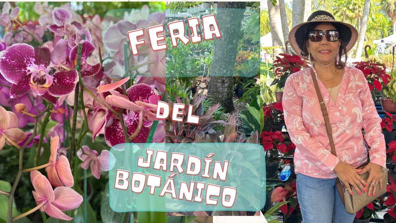 FERIA DE PLANTAS 🪴 Y FLORES 🌷 DEL JARD&Iacute;N BOT&Aacute;NICO DE REP. DOM. #jard&iacute;n #plantas #cuidados #tour #