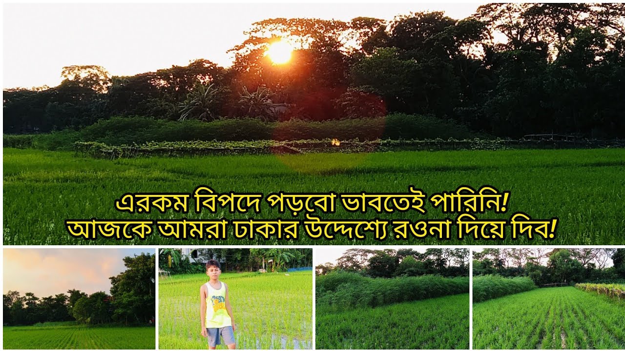এরকম বিপদে পড়বো ভাবতেই পারিনি🫢 আজকে আমরা ঢাকার উদ্দেশ্যে রওনা দিয়ে দিব!🚗