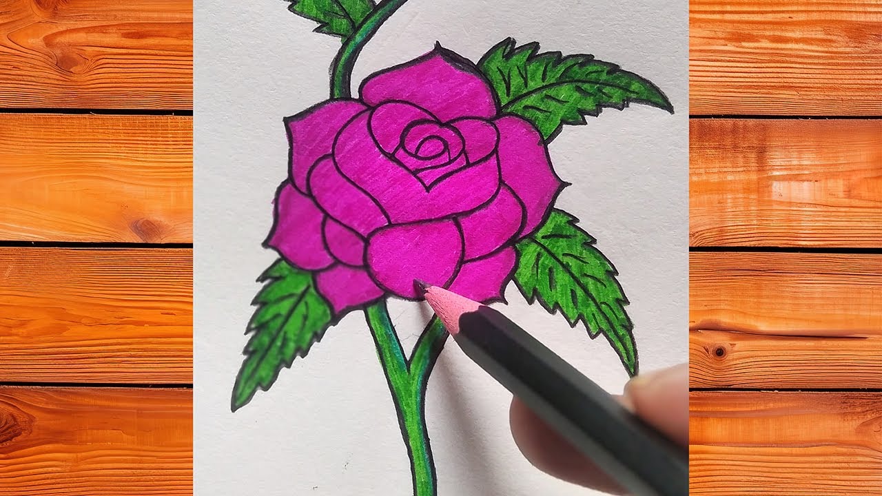 Rose flower drawing #artclass #drawingtutorials #rosedrawing