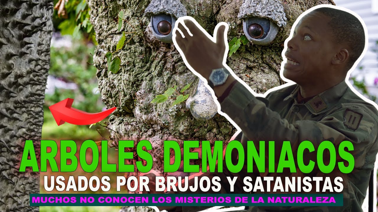 ARBOLES DEMONIACOS USADOS POR BRUJOS Y SATANISTAS (LA JAVILLA) // EX-RUJO AMAURY BATISTA